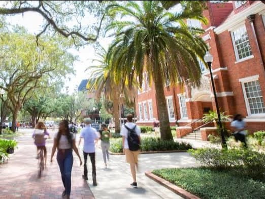 Academic Disciplinary Defense for Florida Students: When Title IX and Conduct Code Allegations Threaten Your Future